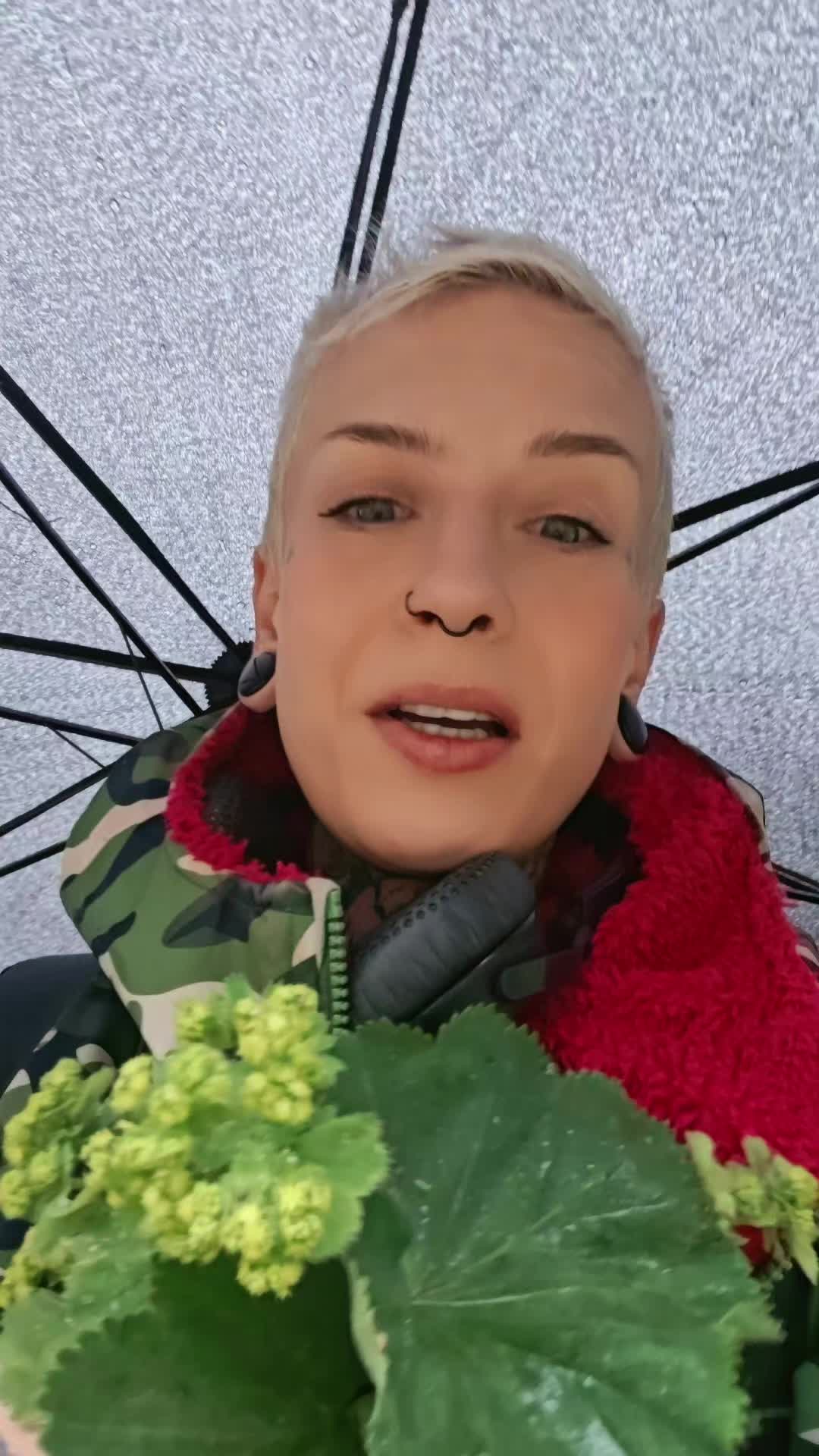 @Kempi Dökkàlfar