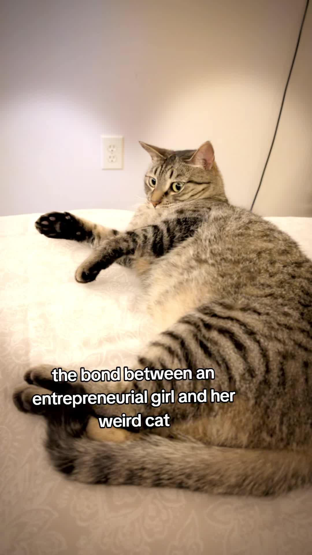 @Lauren
