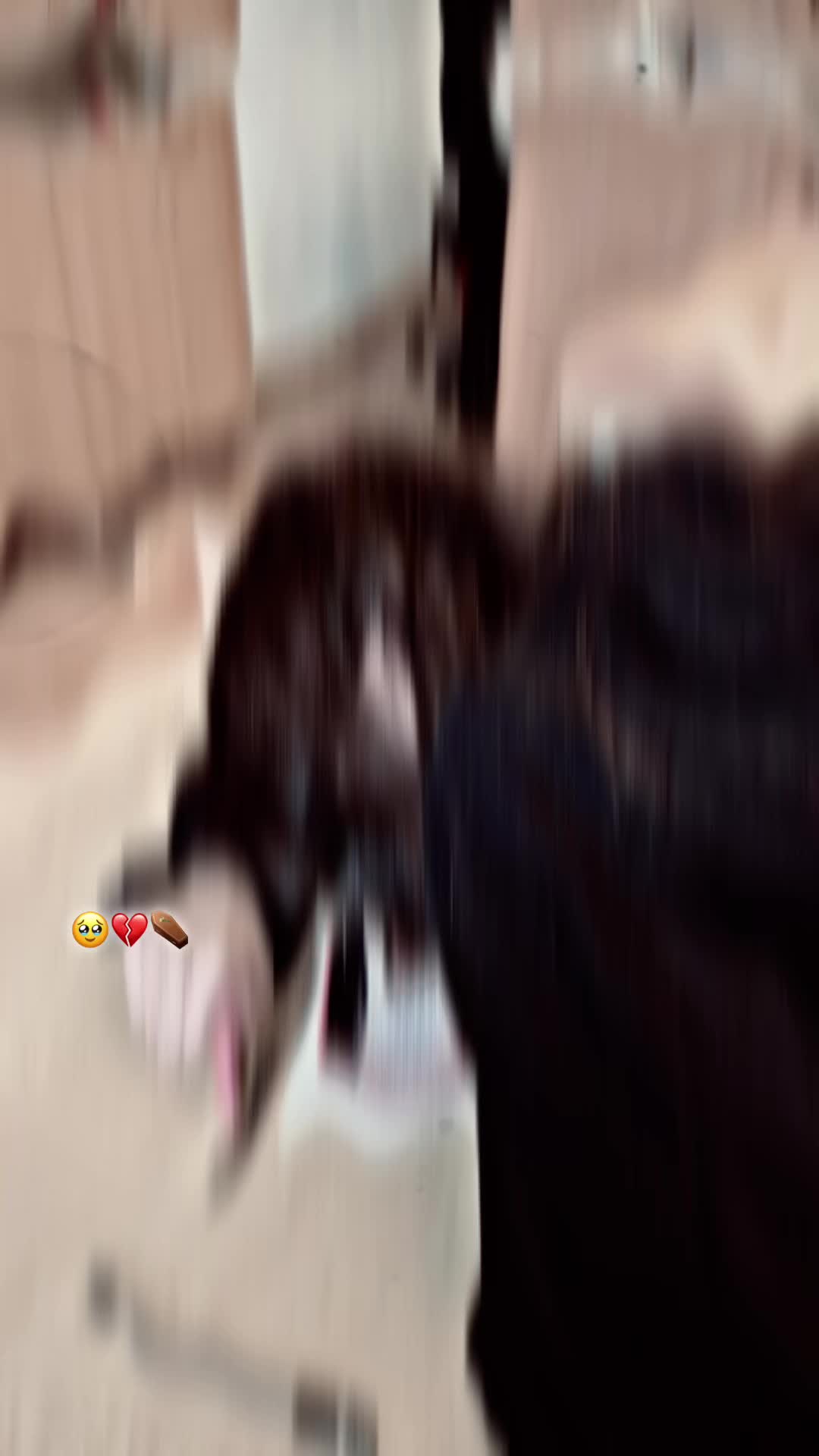 @لیونۍ🫧
