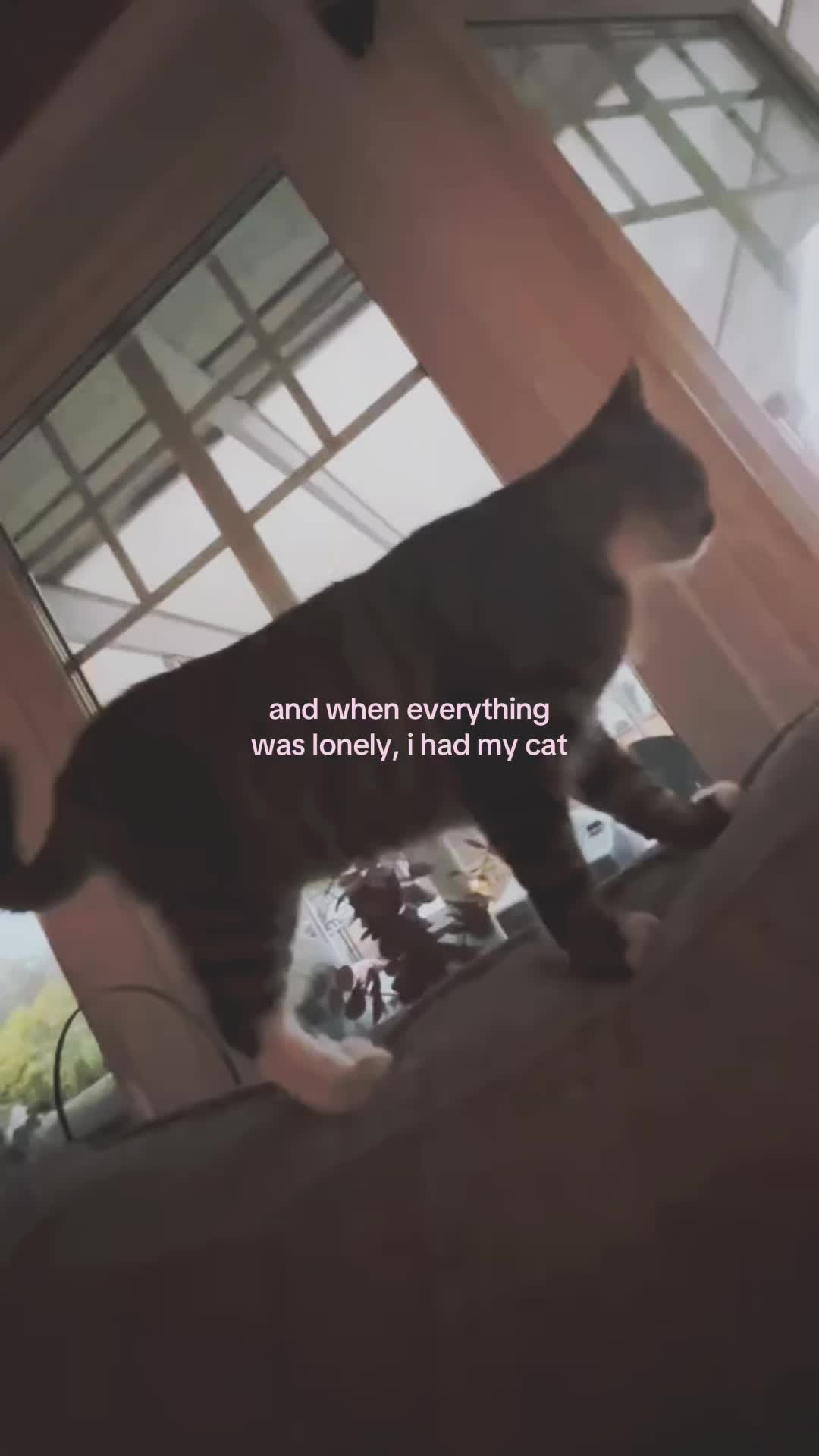 @𝐥𝐲𝐤𝐤𝐞 🦦