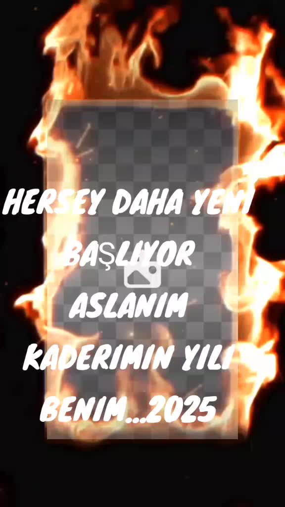 @BORDO BERELI ASLAN KRAL1