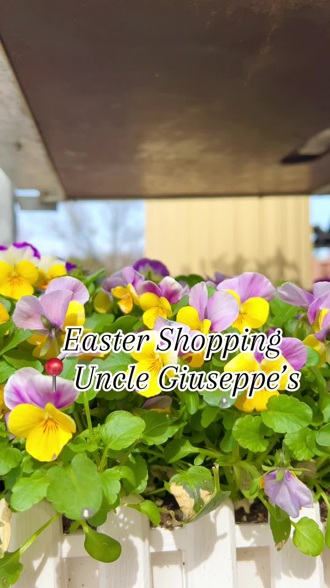 @Uncle Giuseppe’s Marketplace