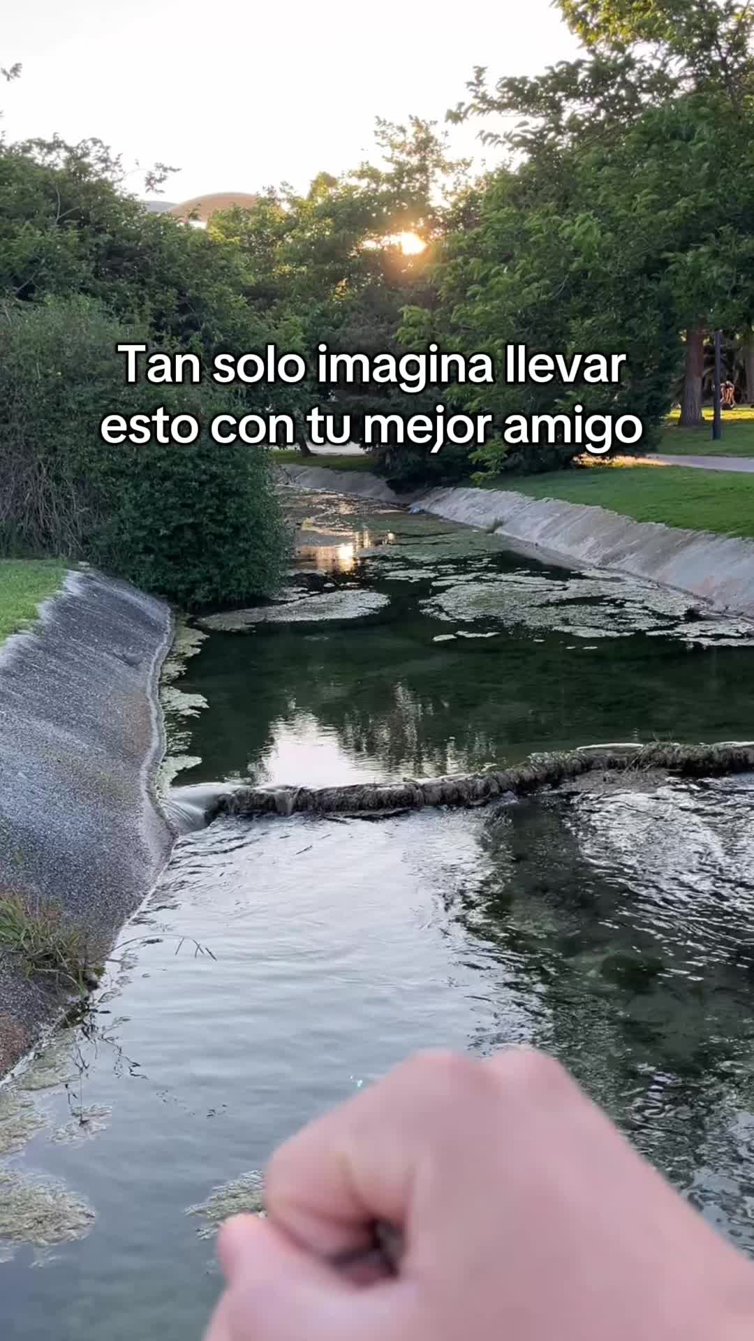 @ENLACE EN EL PERFIL