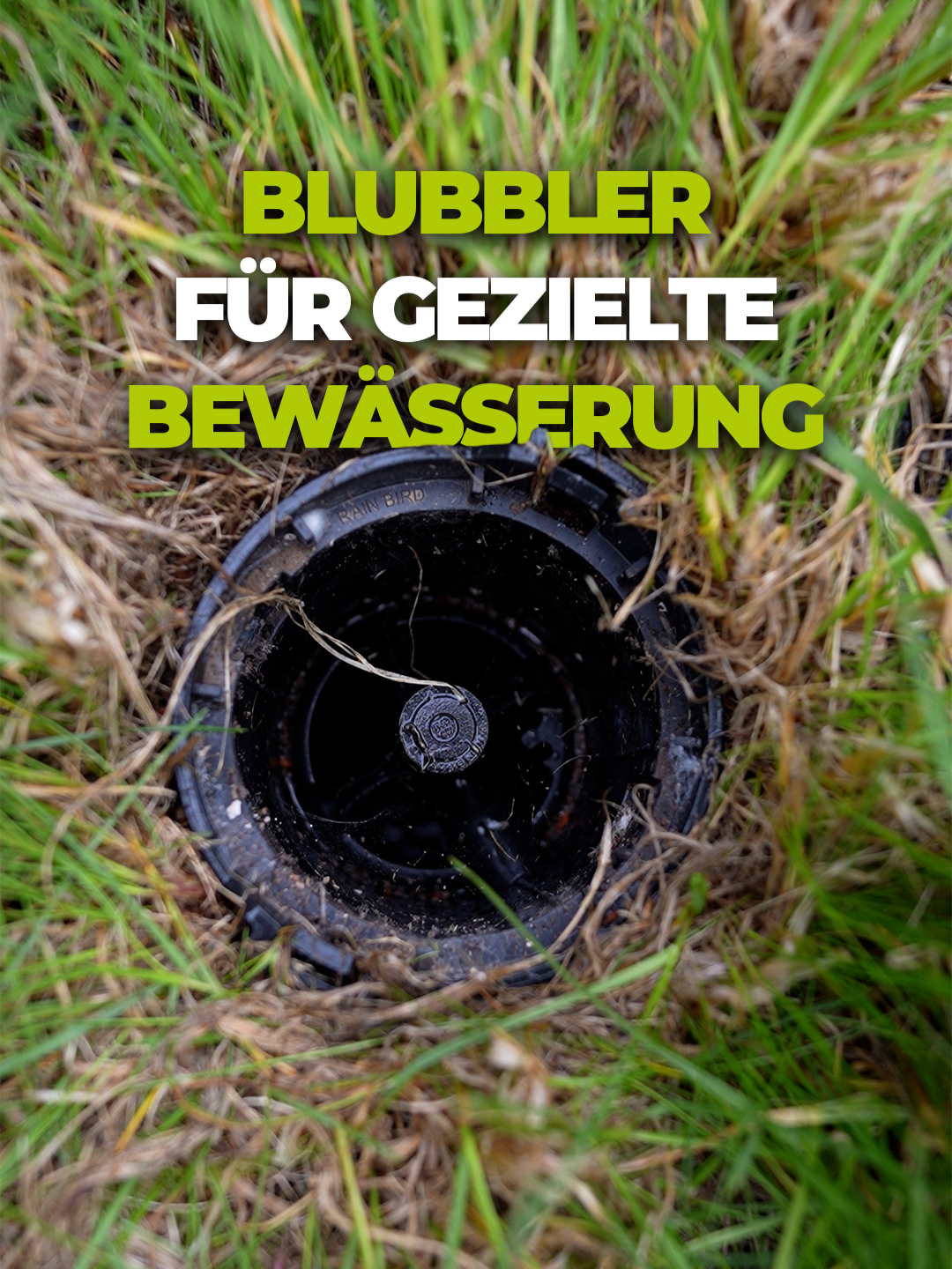 @BTS Gartenwerk Erfurt