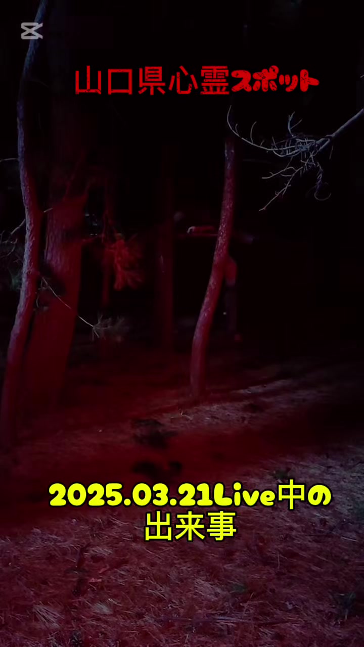 @🔥福夫ちゃん🐔🔥👔