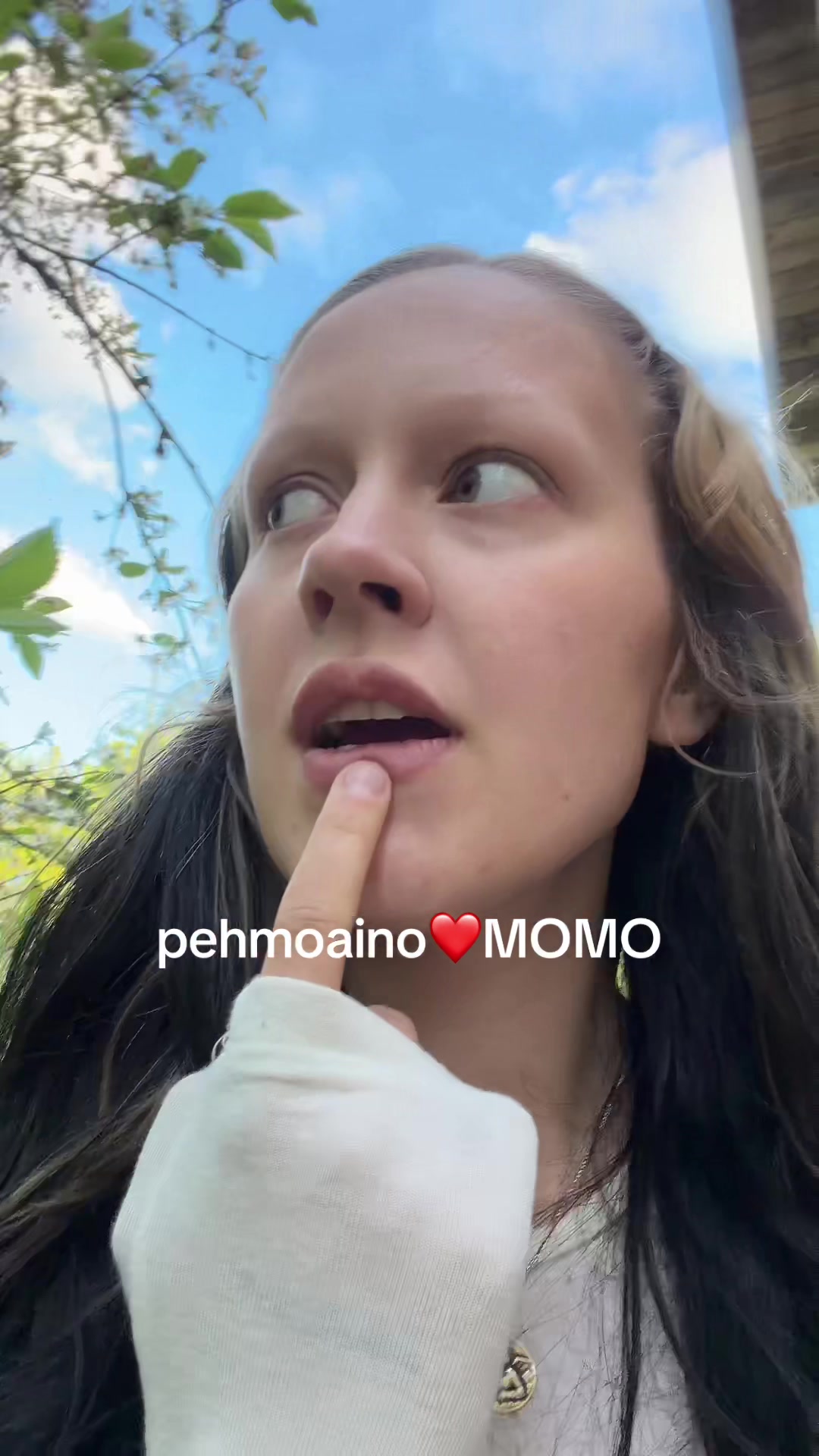 @pehmoaino