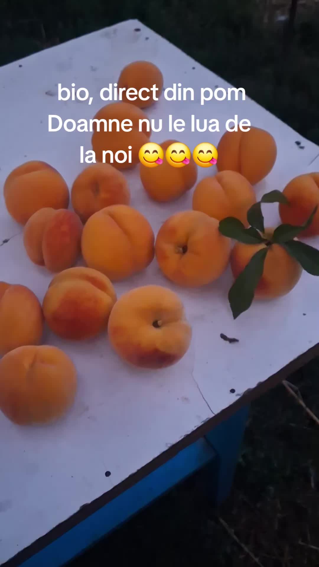 @giovannigiova