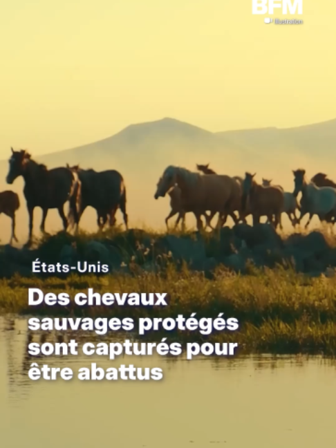 @BFMTV
