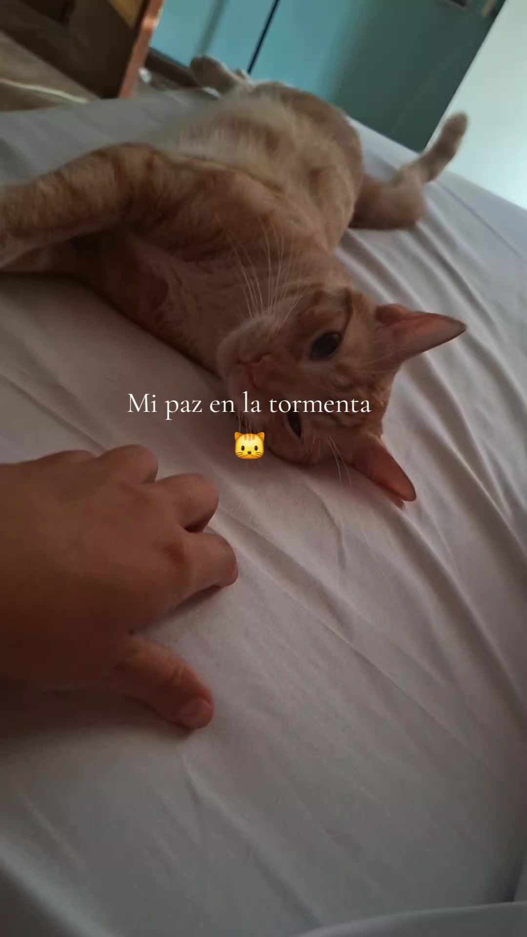 @Mili ❤️🩹✨️