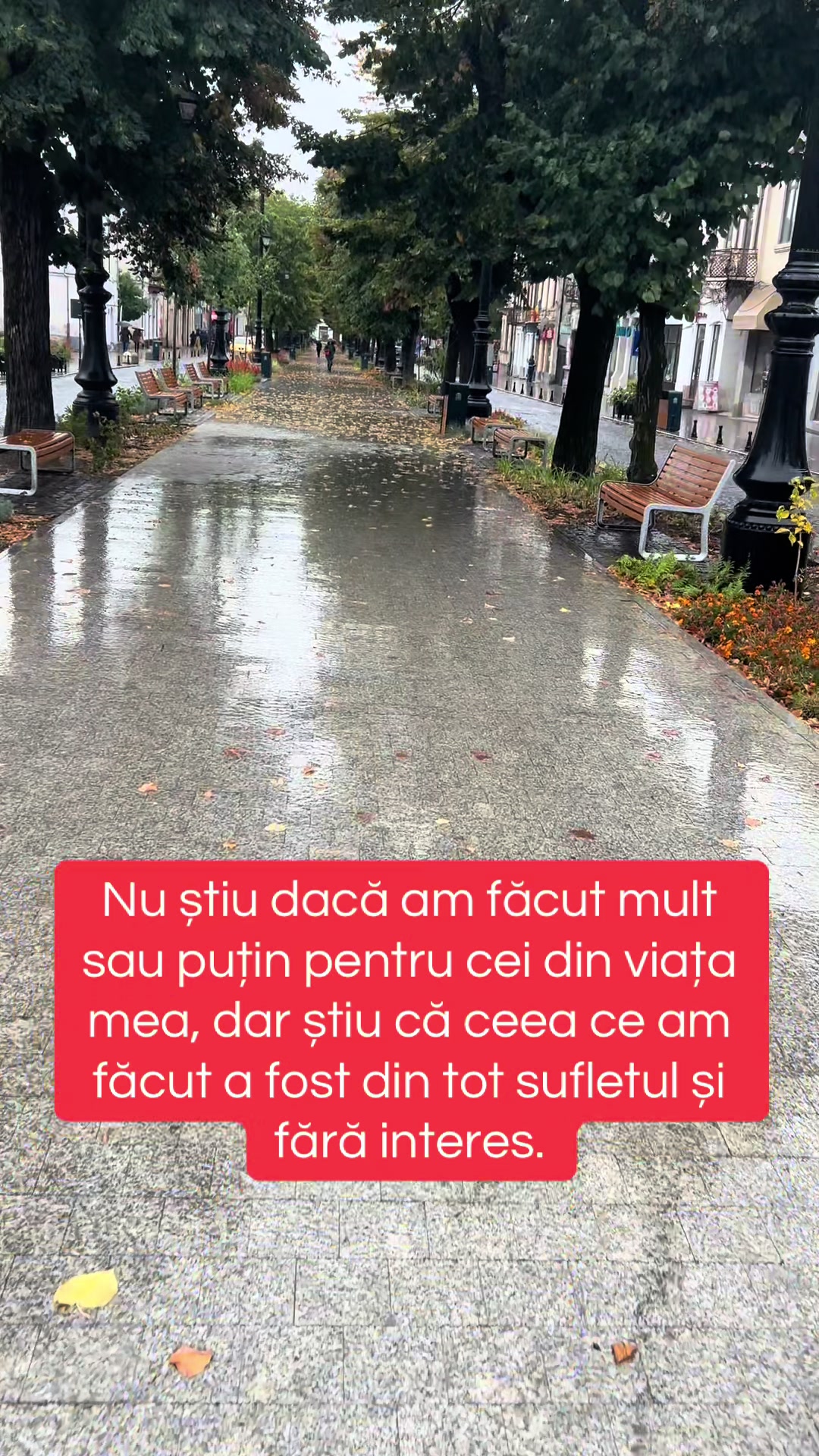 @Jocke Marian