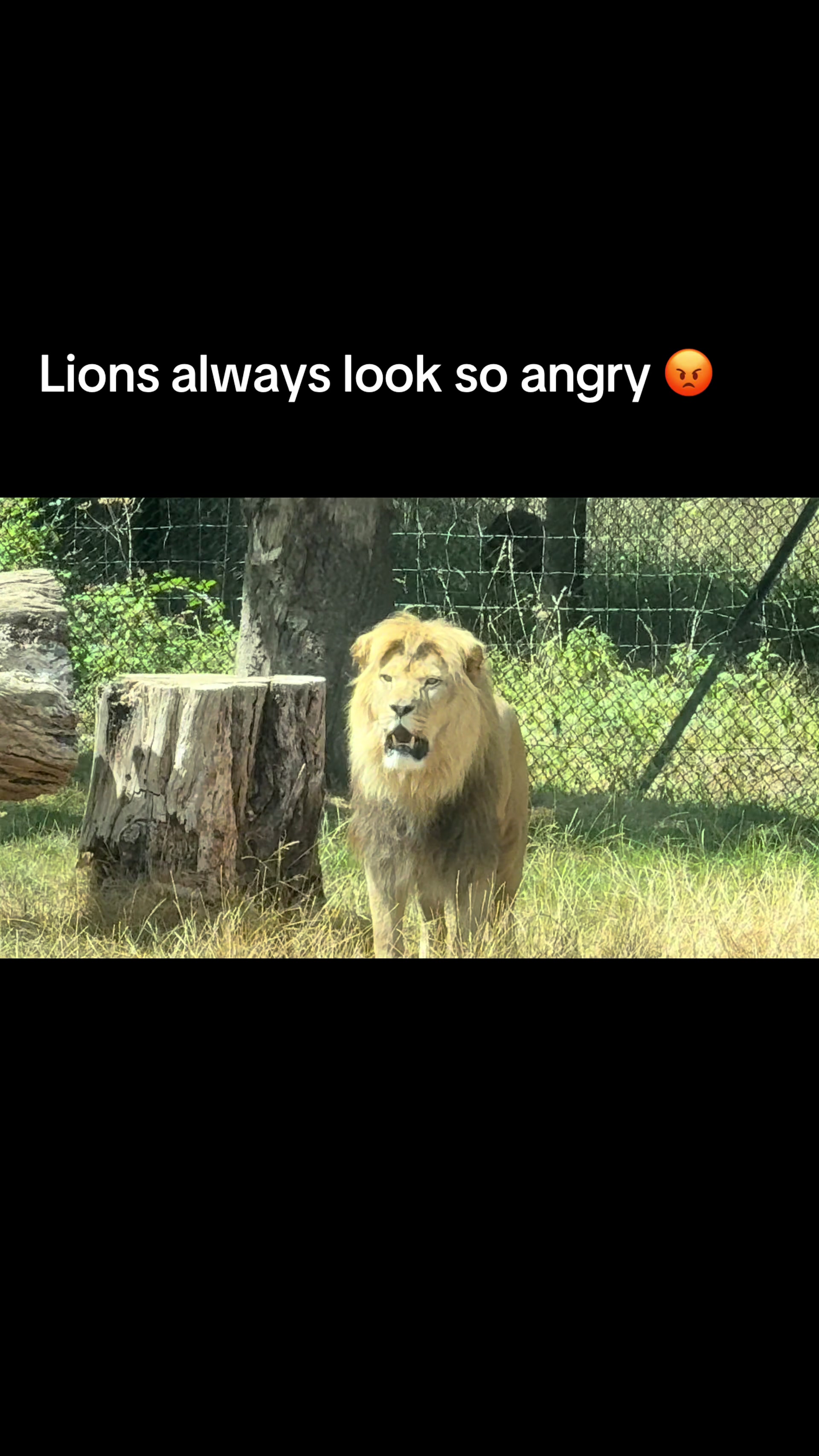 @Jonnytiktok