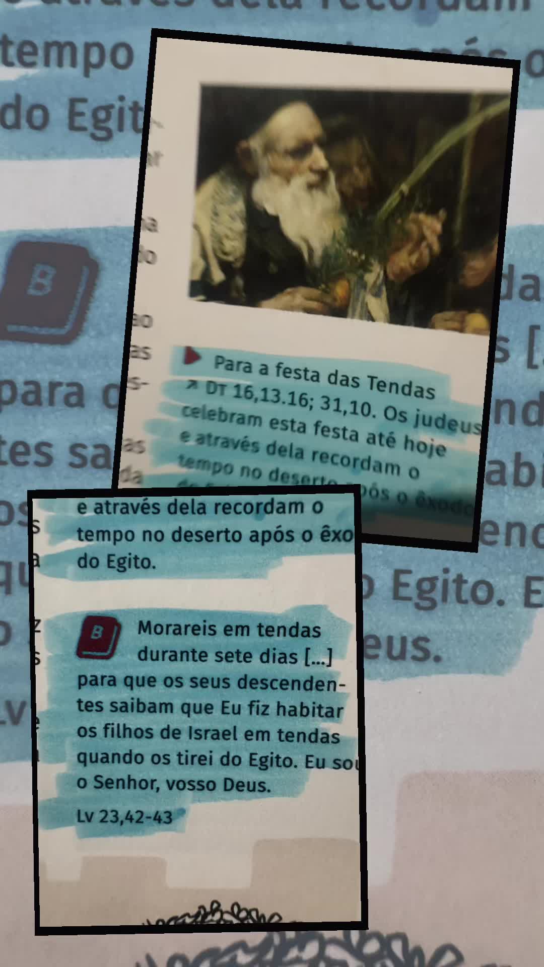 @Sofia Inácio