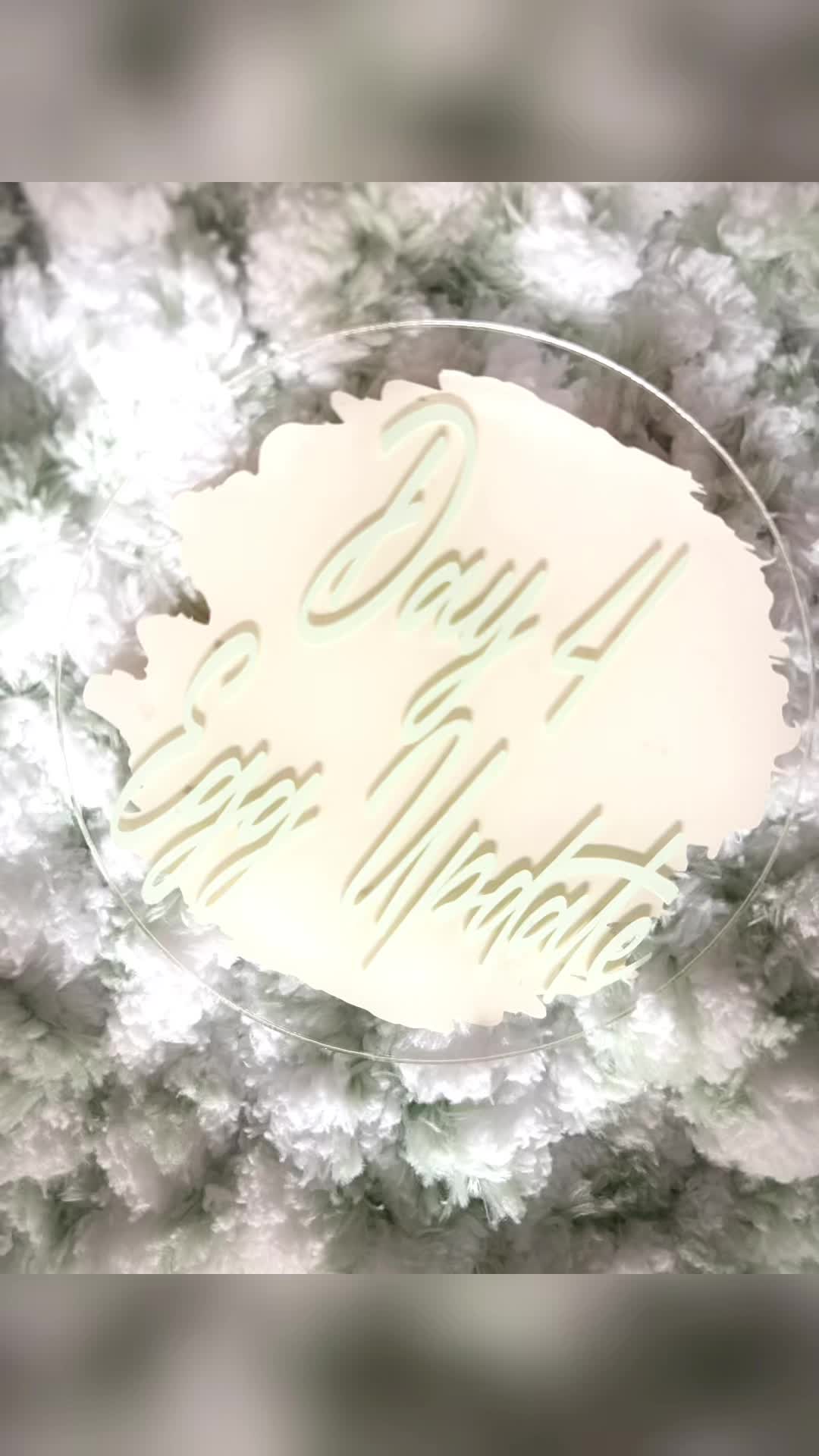 @deeourjourneyforbabytosh