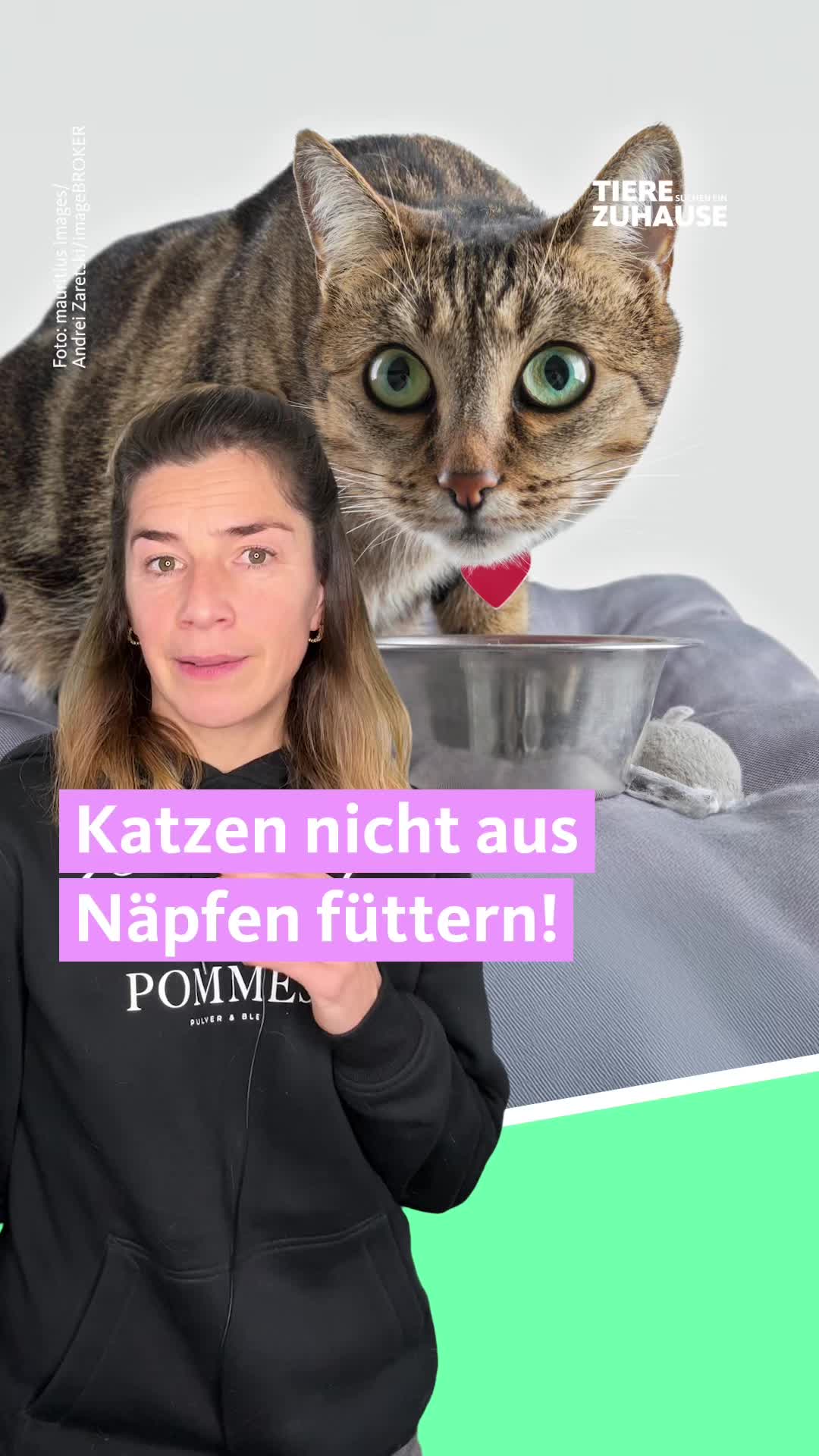 @Tiere suchen ein Zuhause