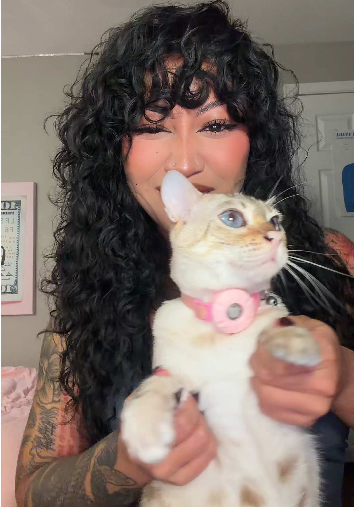 @Mirajane The Bengal🐾
