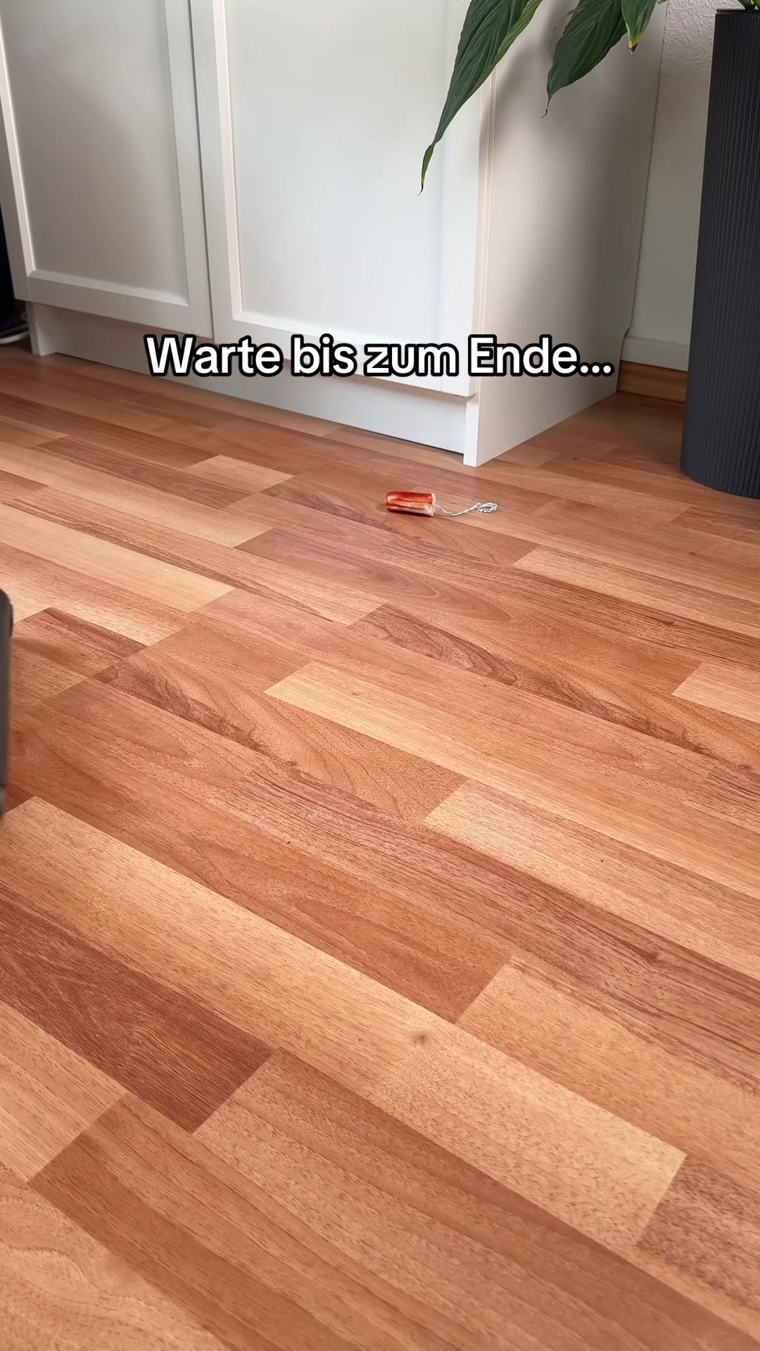 @LeonsProdukte
