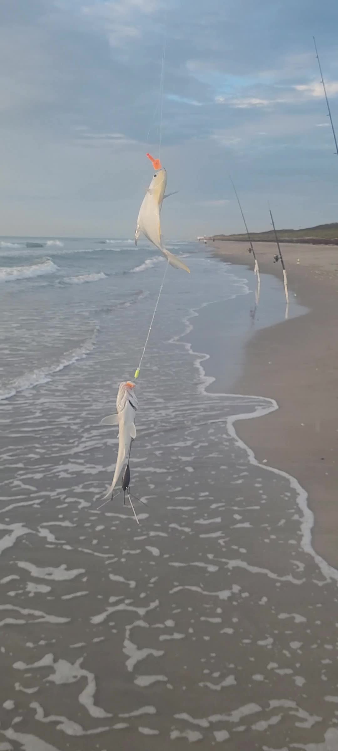 @Ghost of Space Coast Fishing
