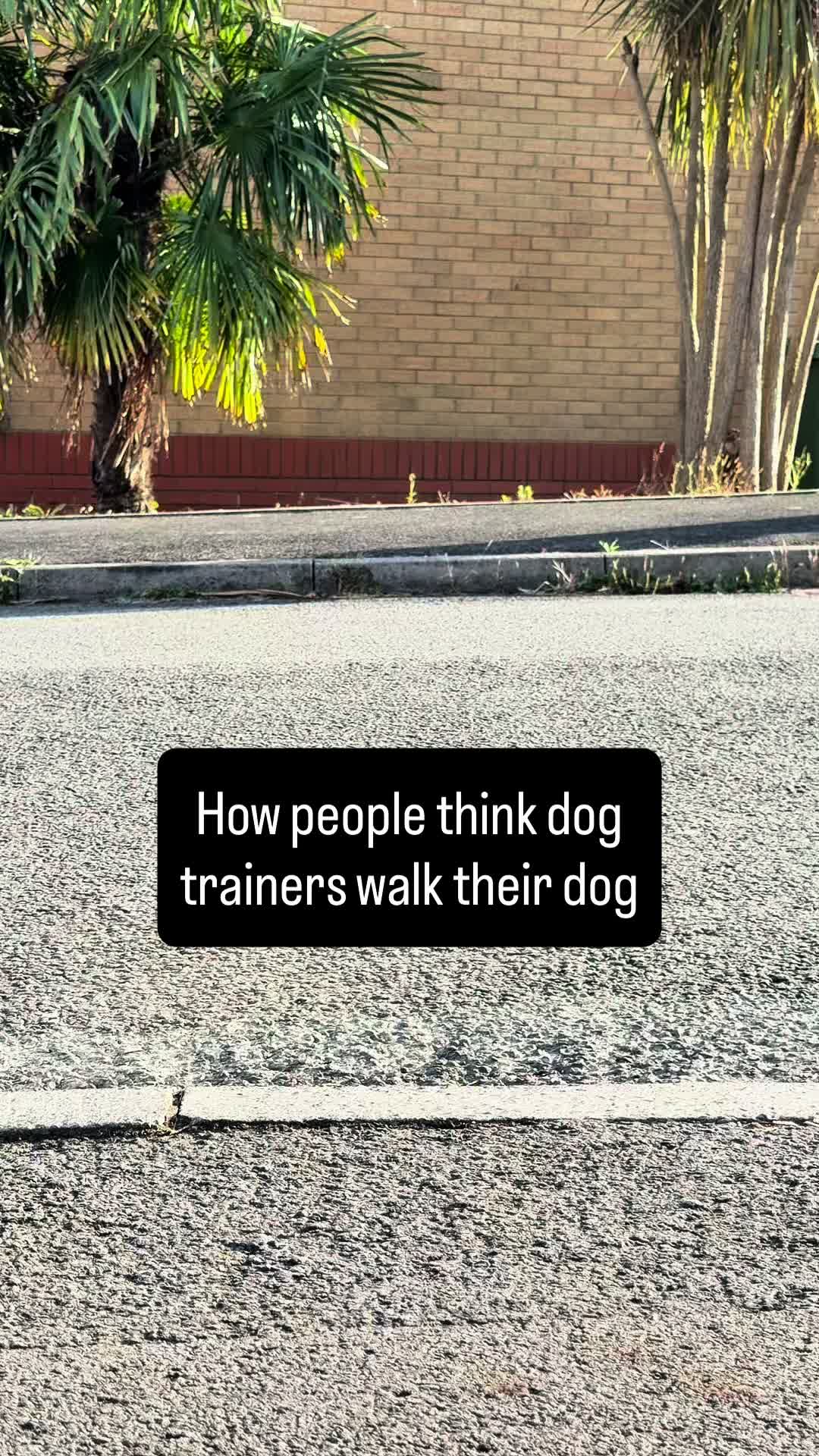@Valleys Dog Training