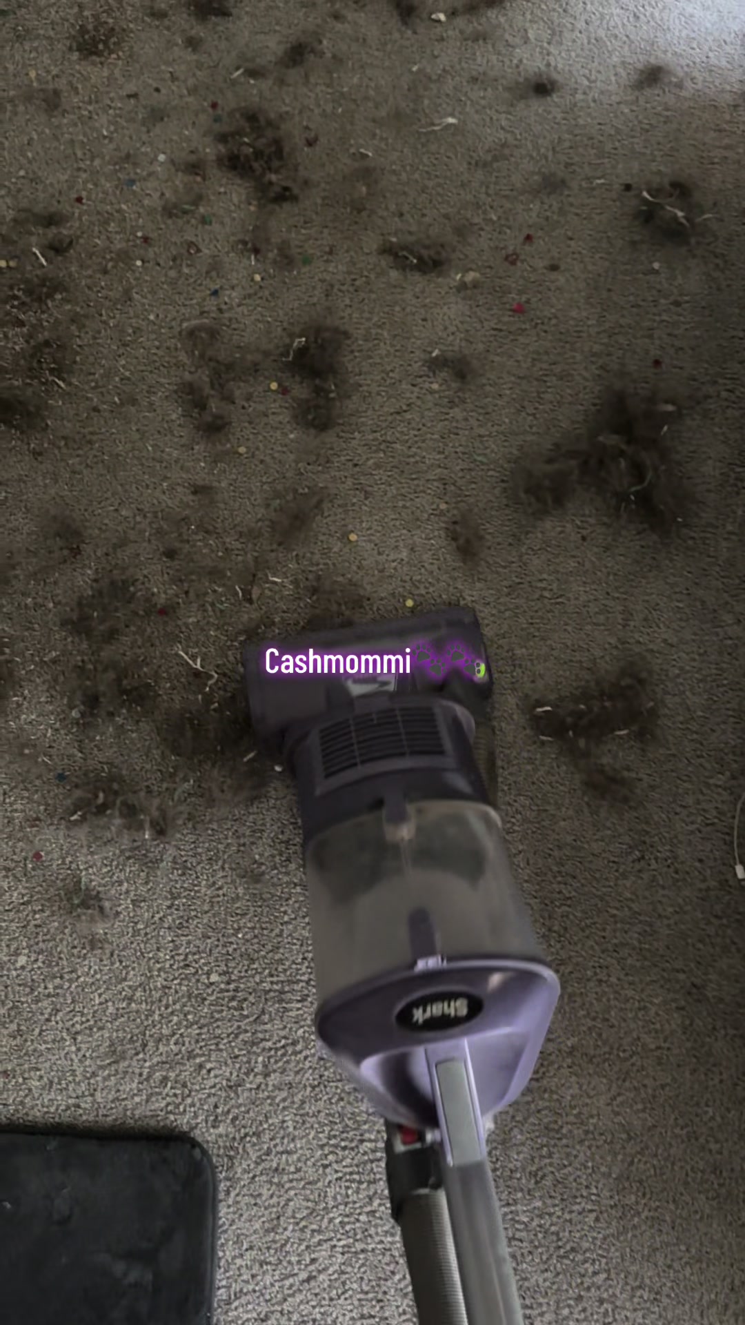 @CashmommiVacs