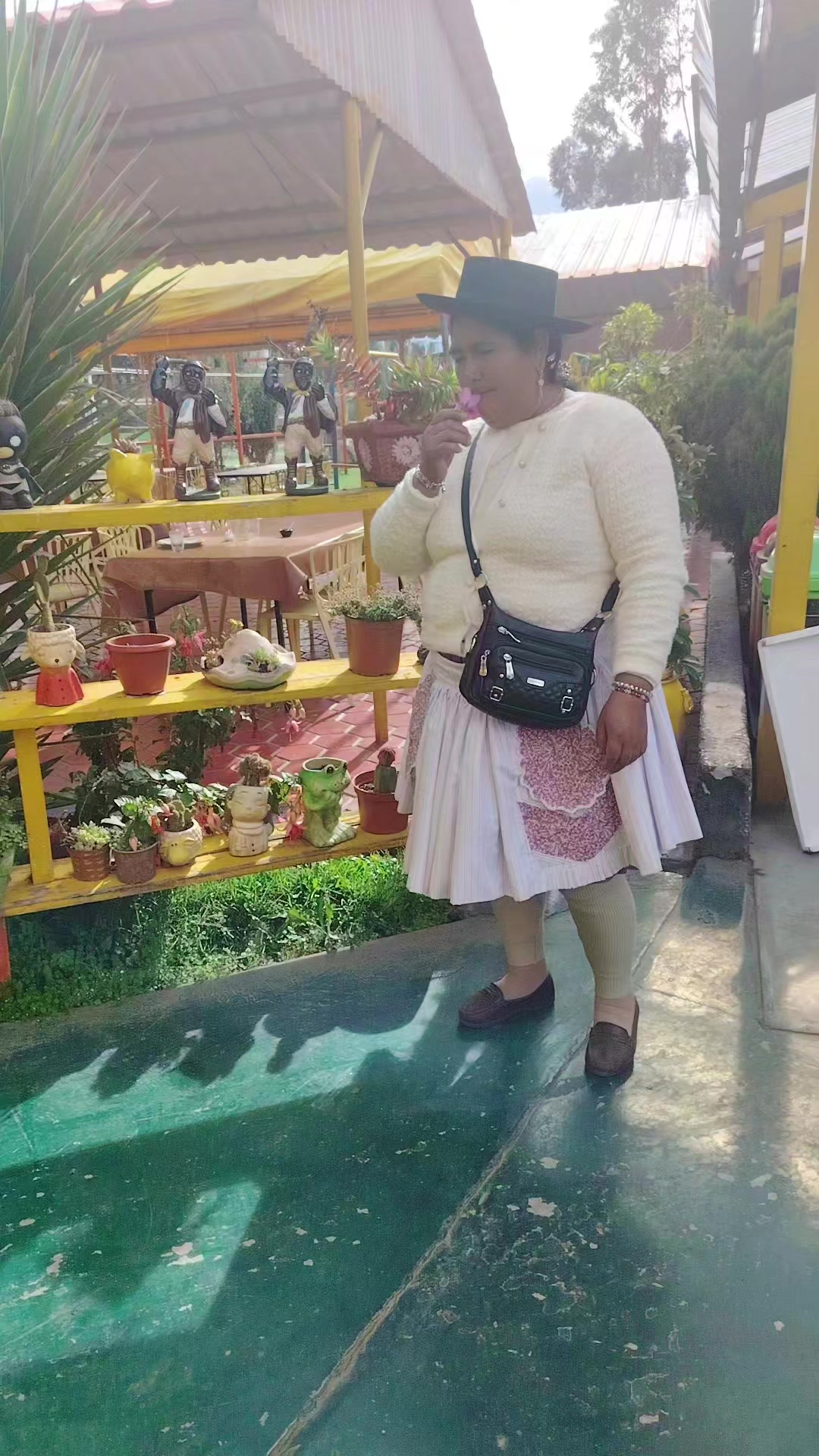 @Faustina Antezana flores