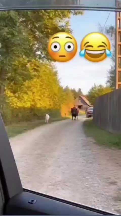 @Klaus_Klaudius