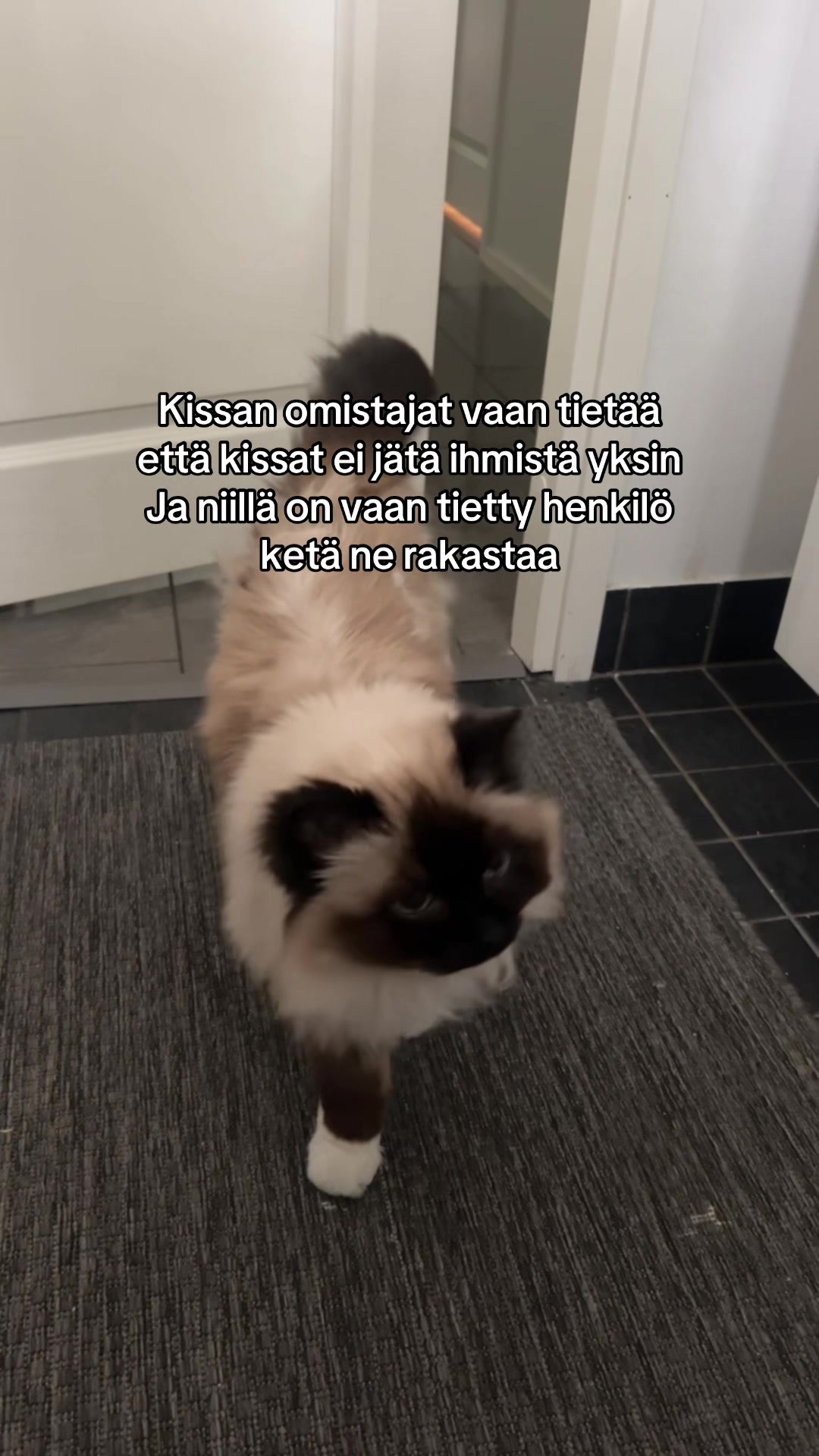 @Ig:korhonennmilja