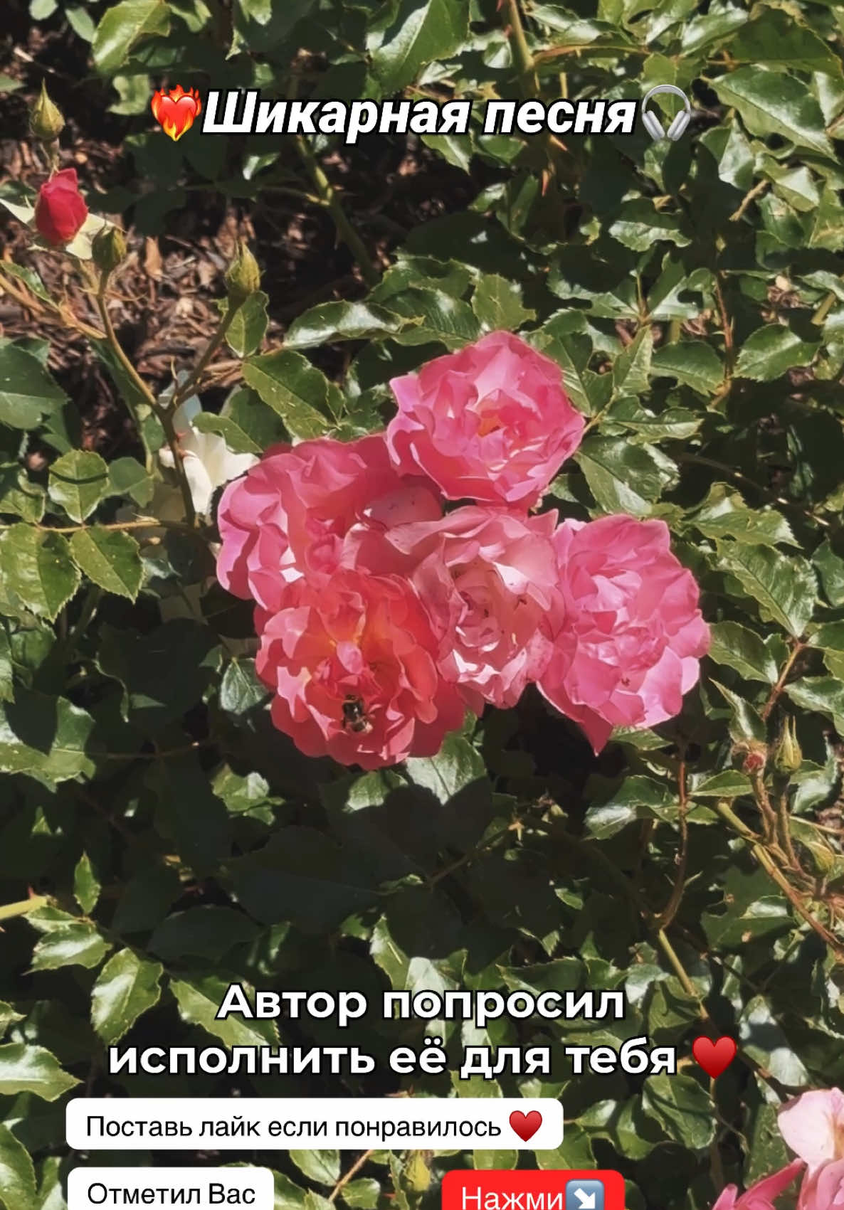 @❤️&zwj;🔥Просто Человек🎧