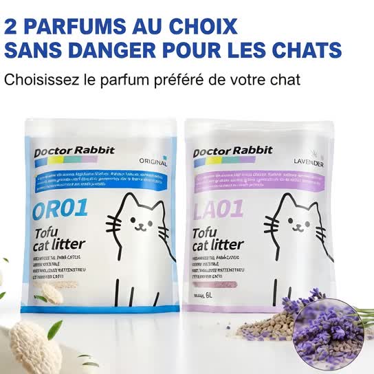 @26 Le Chat