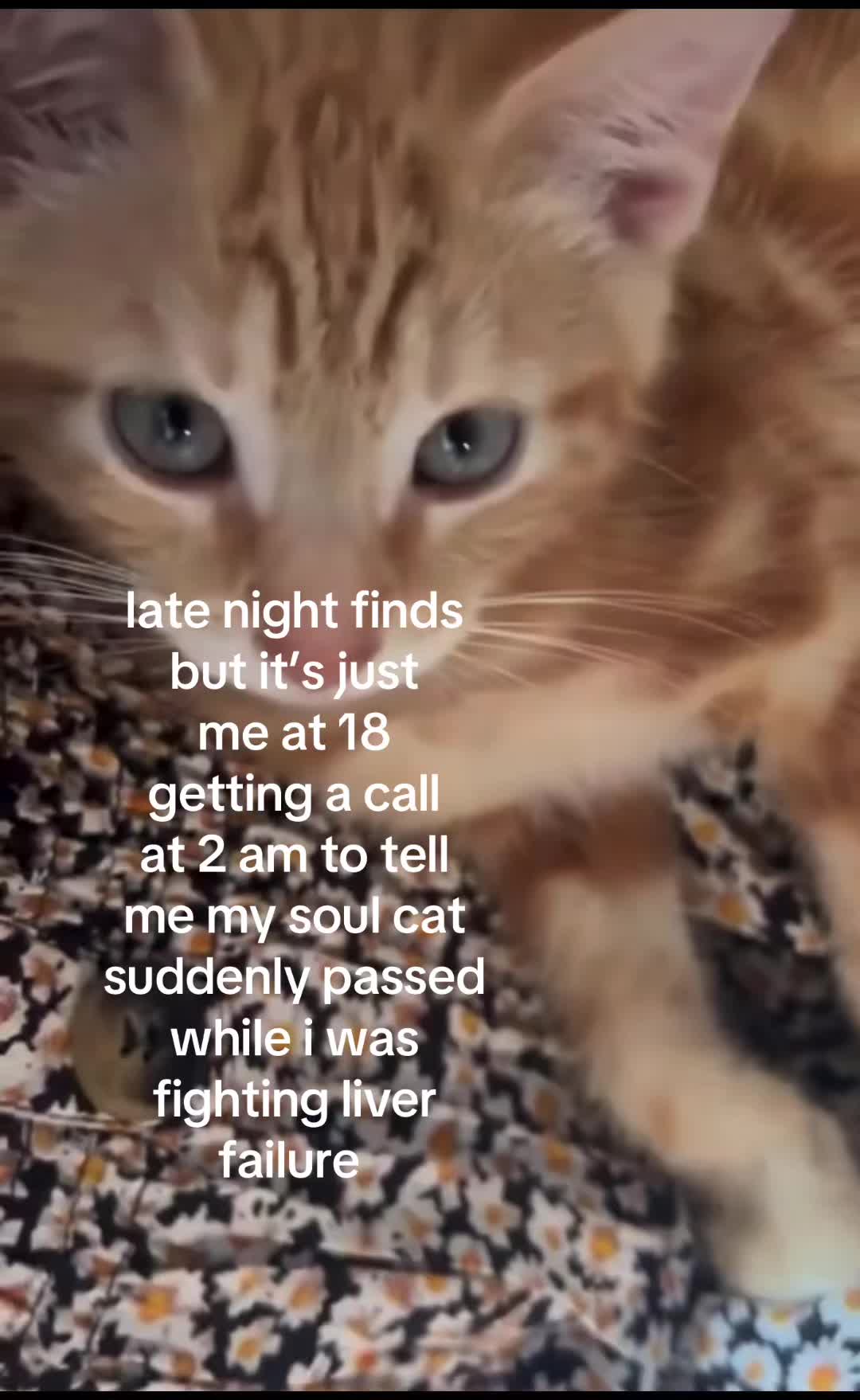 @mika🐌