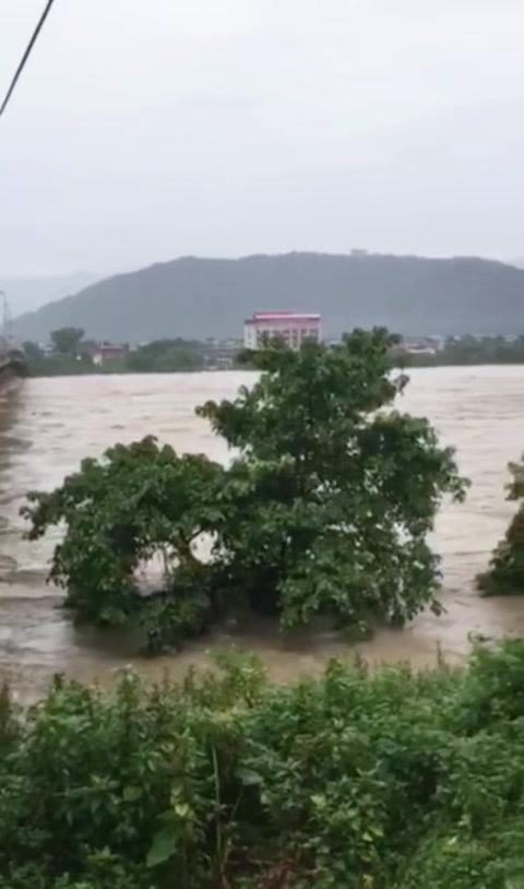 @gsrimal
