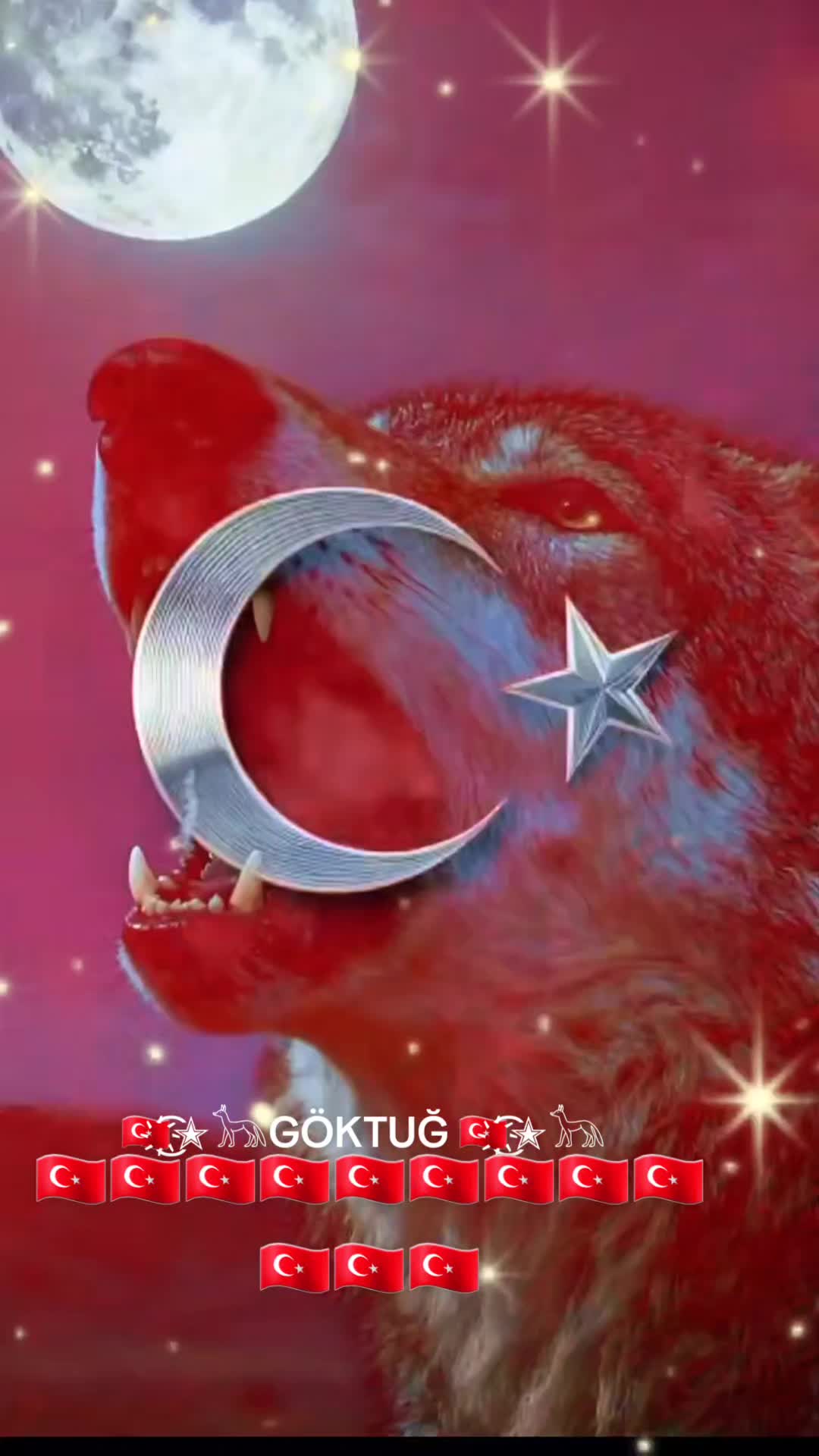 @🇹🇷҉͜͡✭𓃥GÖKTUĞ 🇹🇷҉͜͡✭𓃥