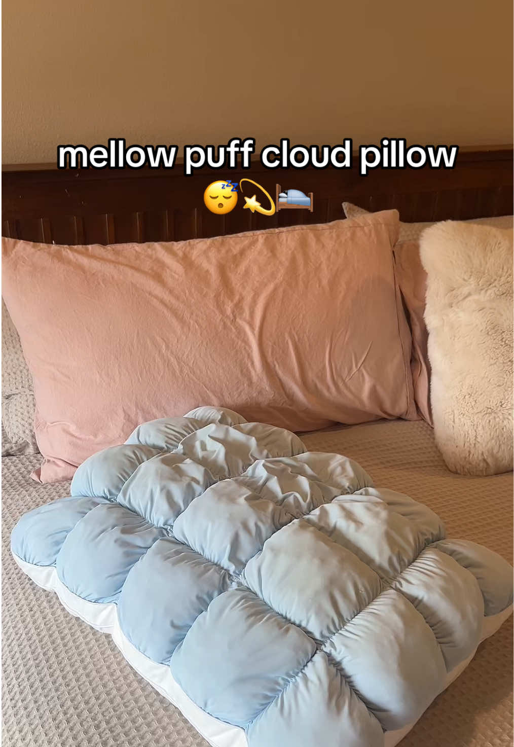 @Velvet Paws