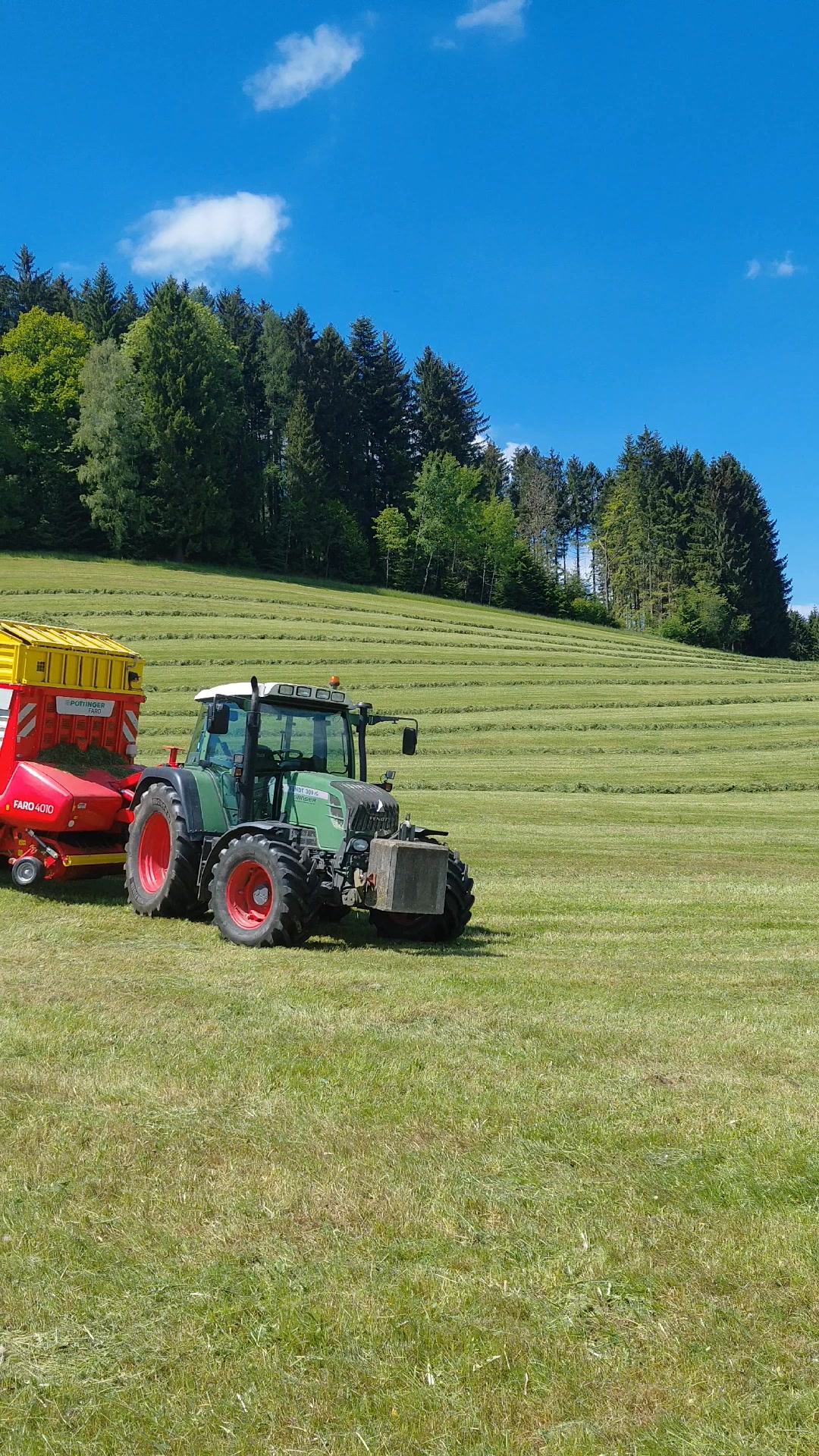 @🐄🇦🇹Gahli🇦🇹🐄