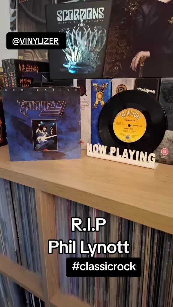 @VINYLIZER