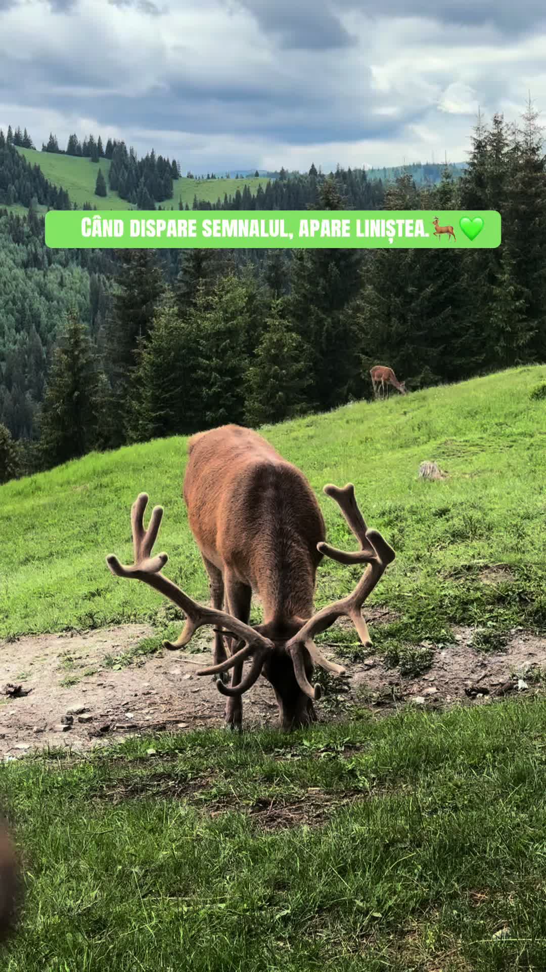 @Dumitrela🤍
