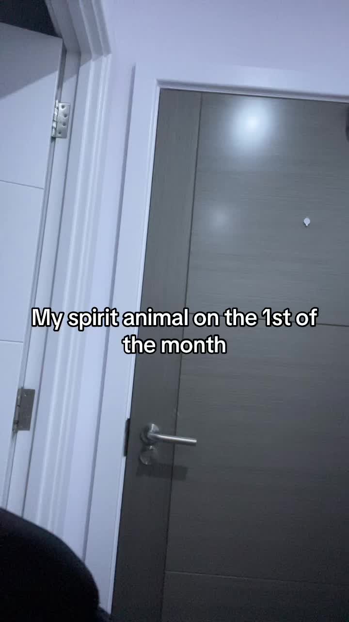 @mrgrey