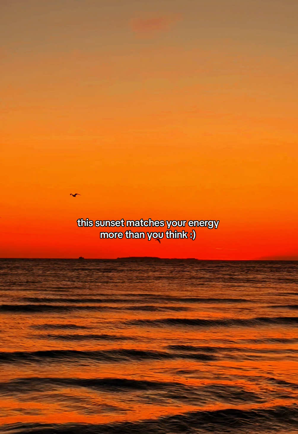 @Luca 🌅
