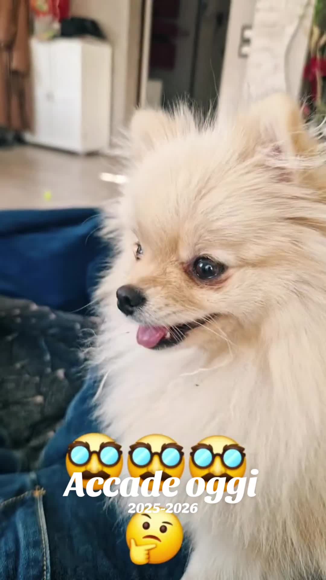 @Chiaretta🍀