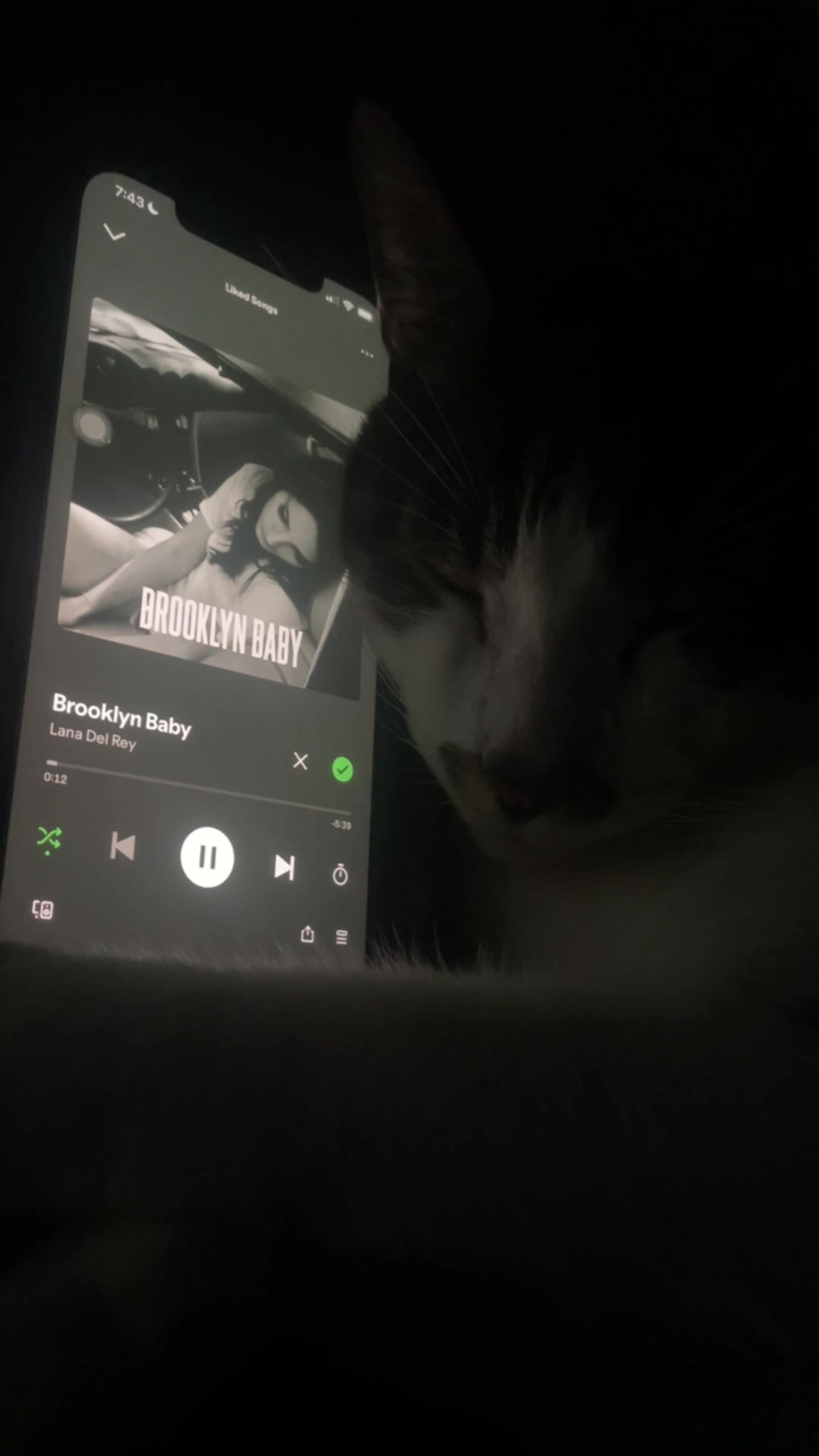 @sleepycatwithmusic