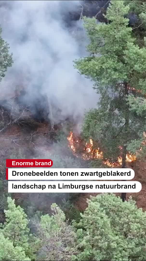 @De Stentor