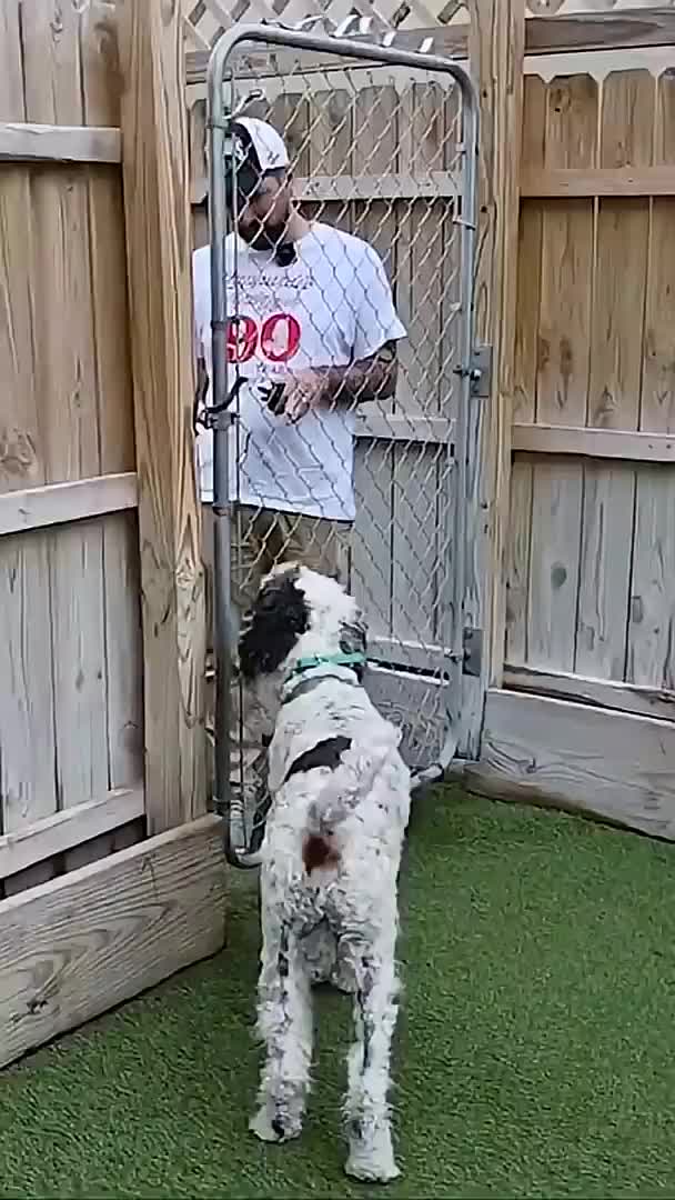 @Miracle K9 Training