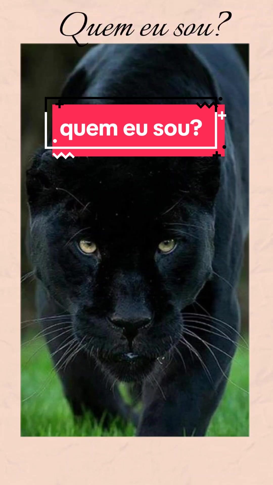 @marciamartins🦡