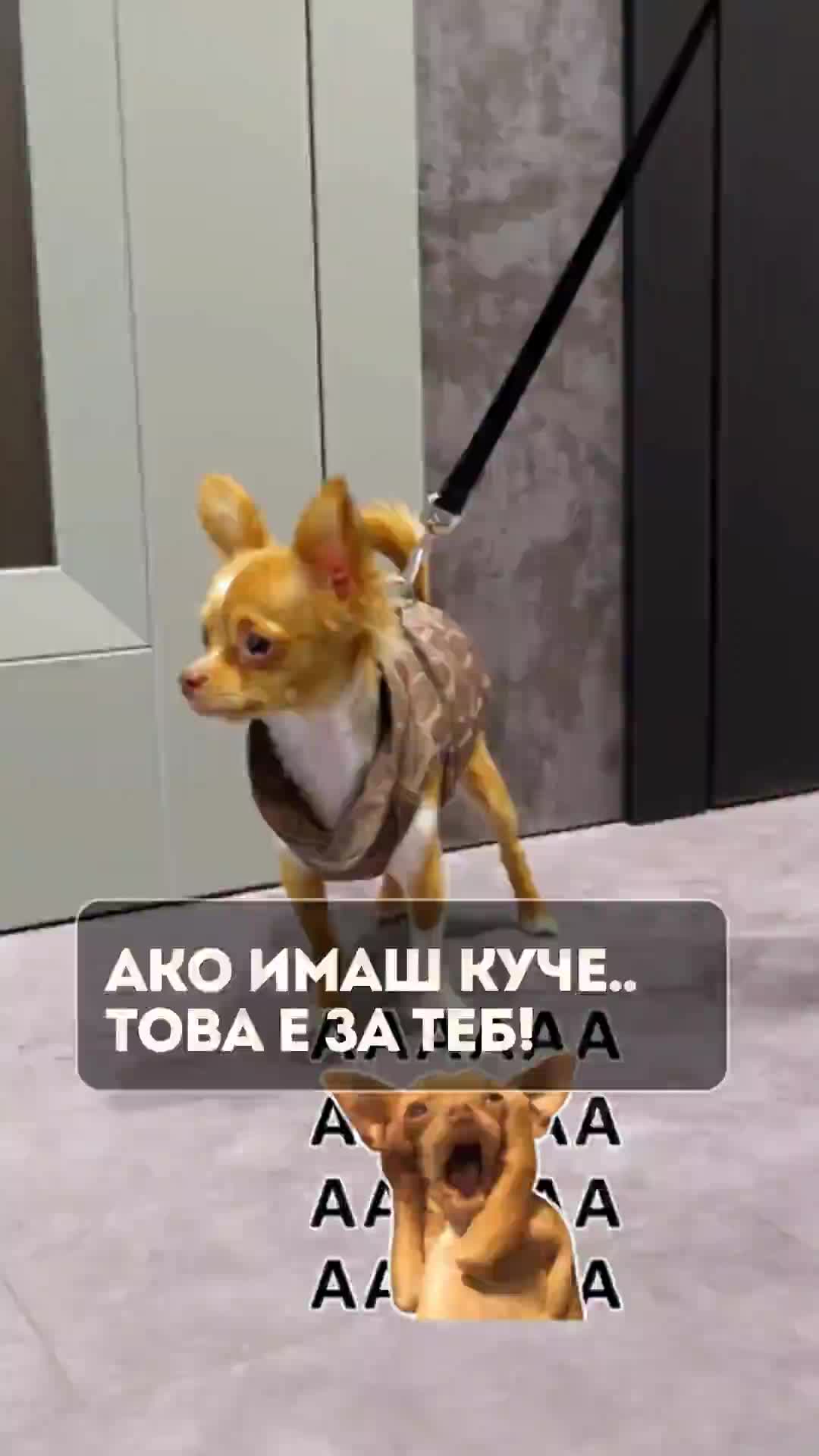 @Флор Декор