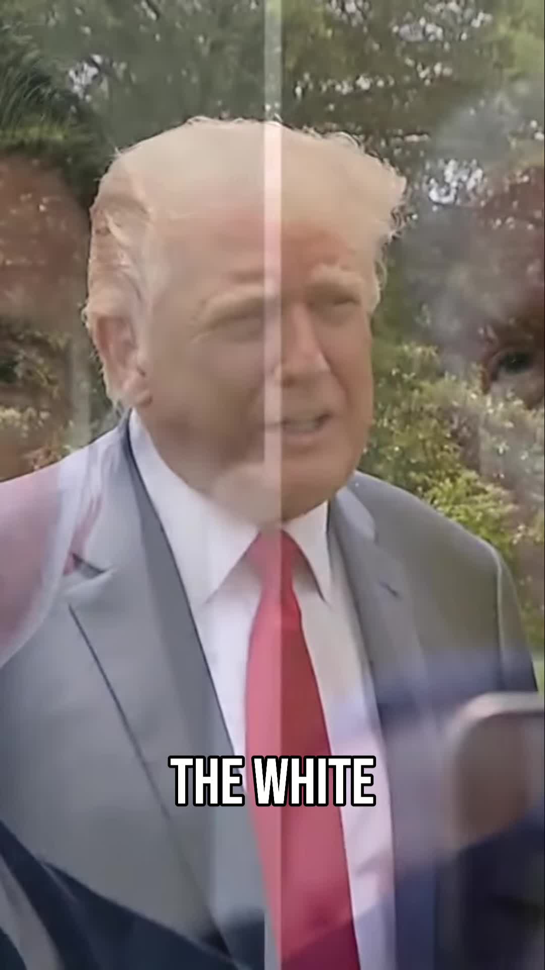 @news clips