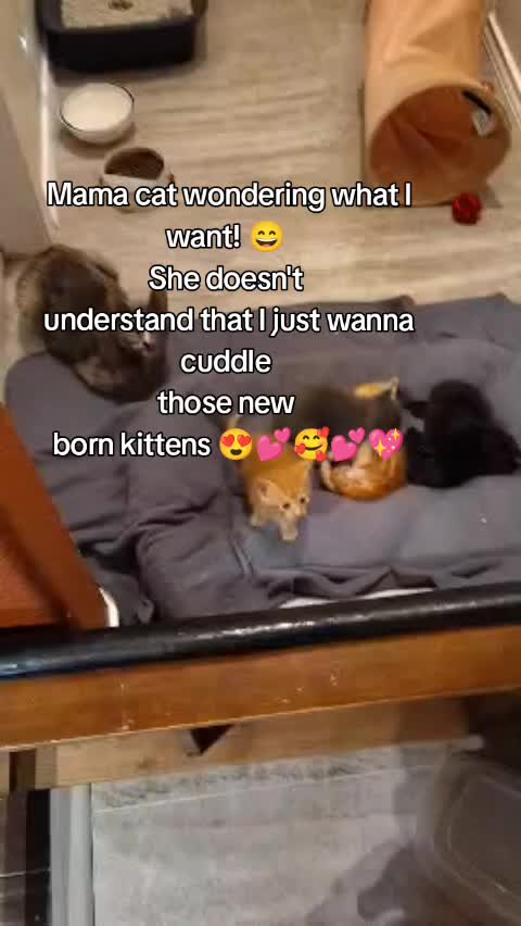 @Daisysmiles4U