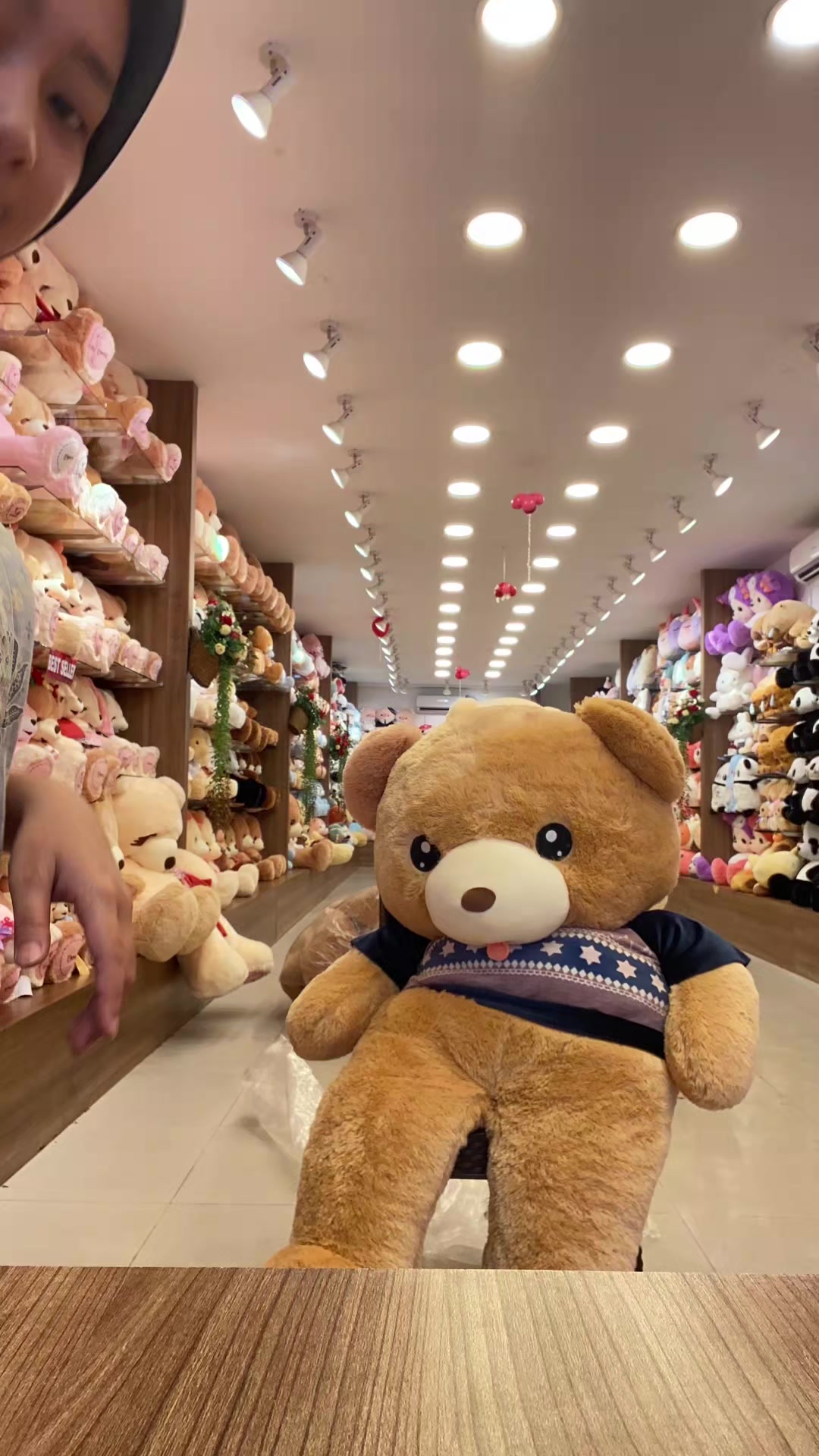 @ISTANA BONEKA SUDIRMAN