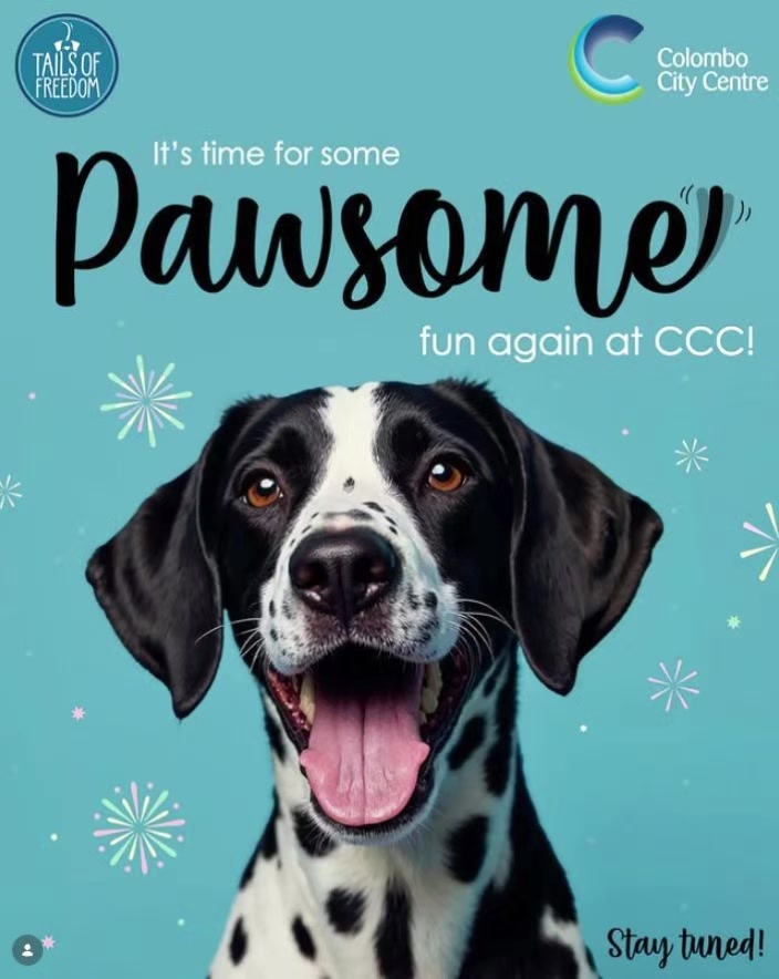 @tailsoffreedomsl