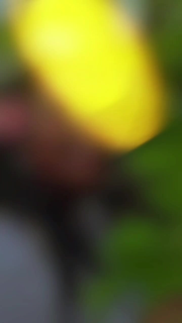 @༻❤️⃝𝗧𝗛𝗔𝗥𝗨⃝💖⃘༺