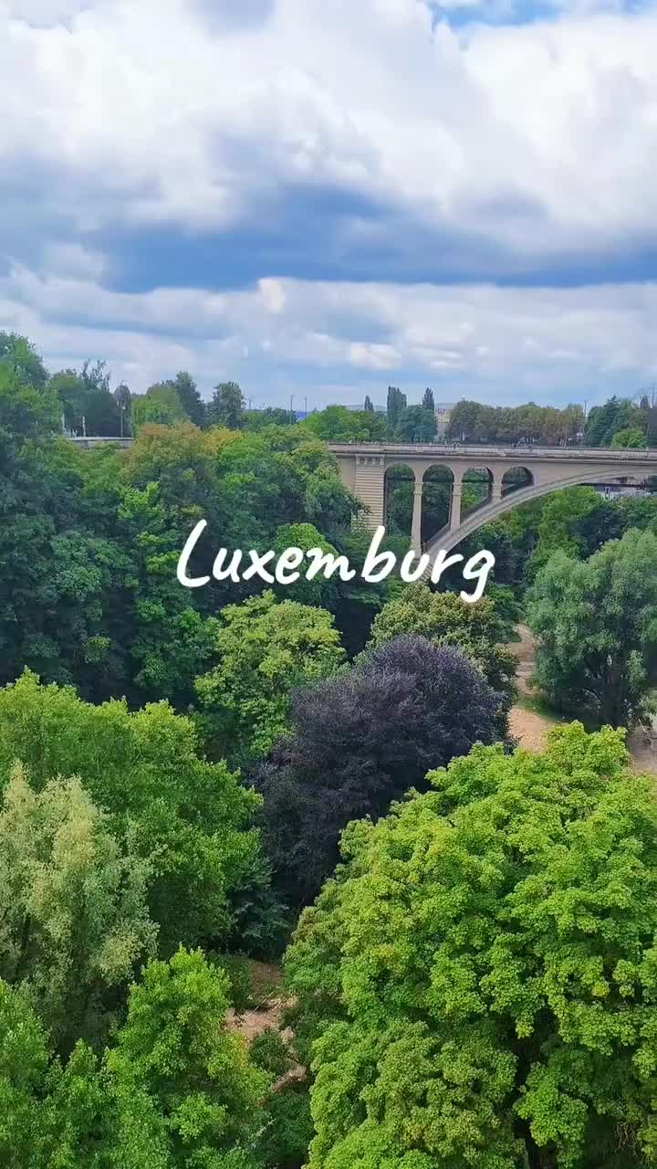@Larry page 🇱🇺