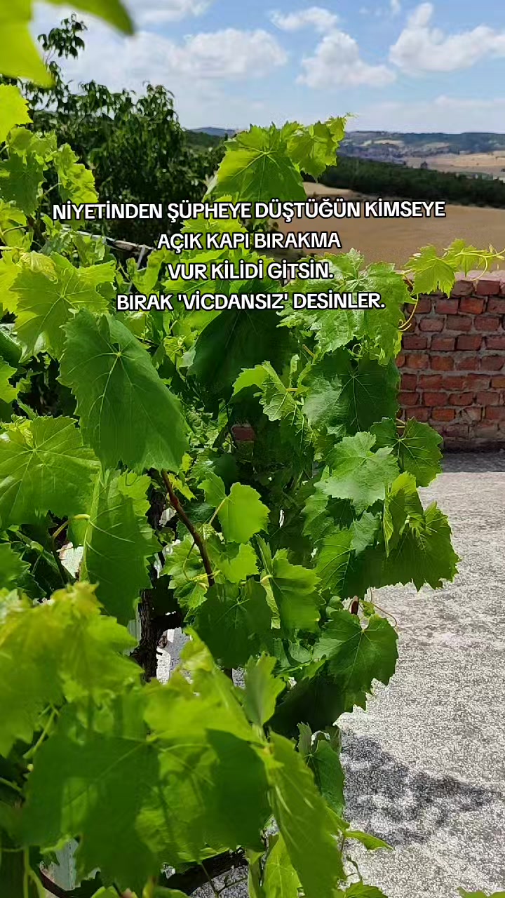 @FULYA YANAR